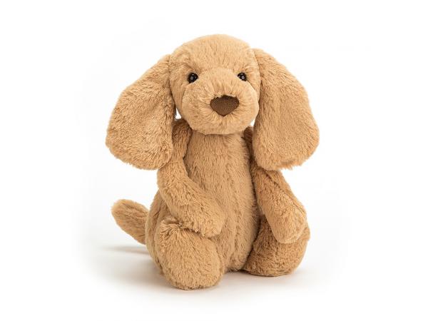 Peluche Chien - Bashful Fudge - Medium par Jellycat