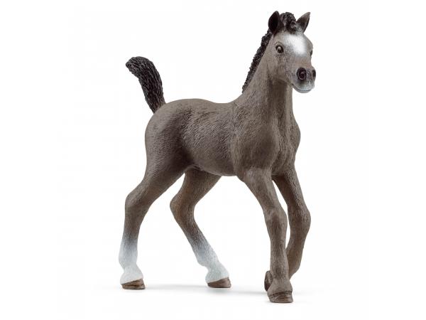 schleich HORSE CLUB 13952 Paso Peruano Étalon pour enfants à partir de 5 à  12 ans : : Jouets